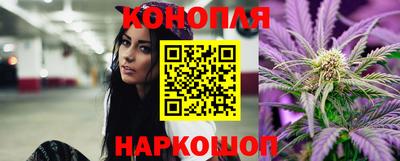 индика Гусиноозёрск