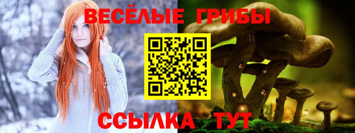 Псилоцибиновые грибы ЛСД Южно-Сахалинск